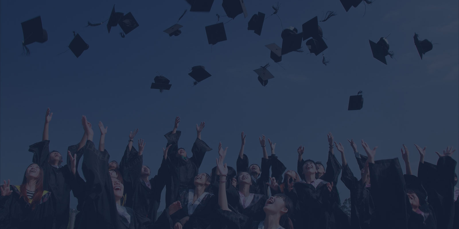 Banner 2